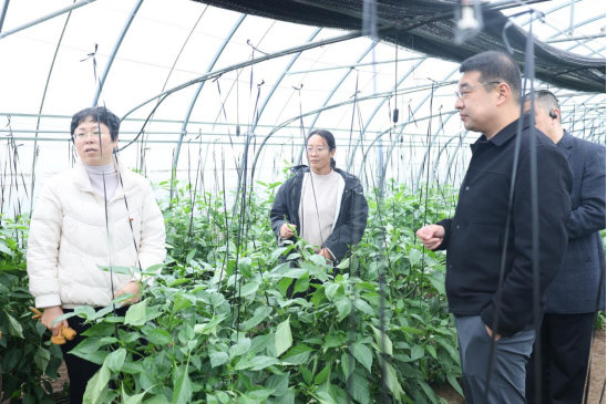 微信图片_2025-12-15_162728_521.png 微信图片_2025-12-15_162728_521.png